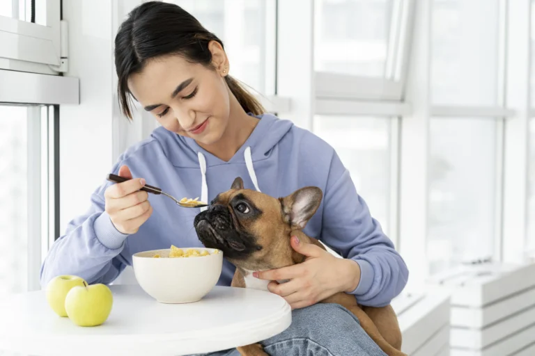 how much to feed your dog